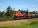 CN 5641